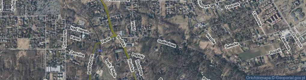 Zdjęcie satelitarne Scaleniowa ul.