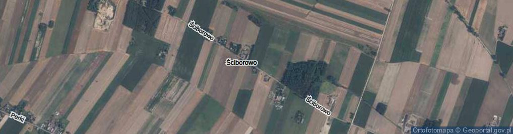 Zdjęcie satelitarne Ściborowo ul.