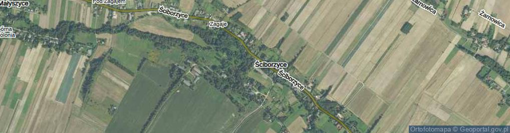 Zdjęcie satelitarne Ściborzyce ul.