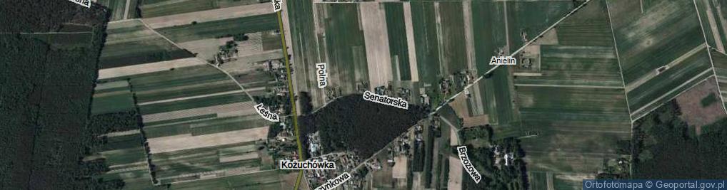 Zdjęcie satelitarne Senatorska ul.