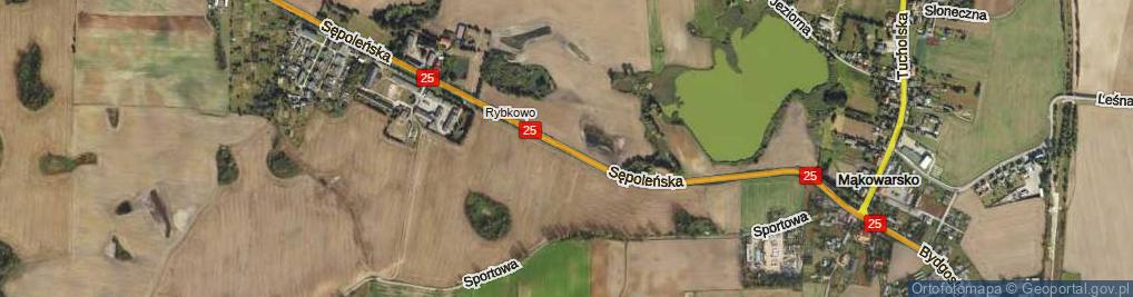 Zdjęcie satelitarne Sępoleńska ul.