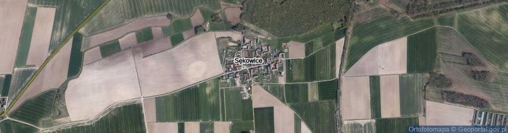 Zdjęcie satelitarne Sękowice ul.