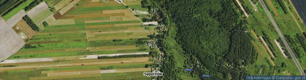 Zdjęcie satelitarne Sępochów ul.