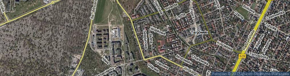 Zdjęcie satelitarne Seledynowa ul.