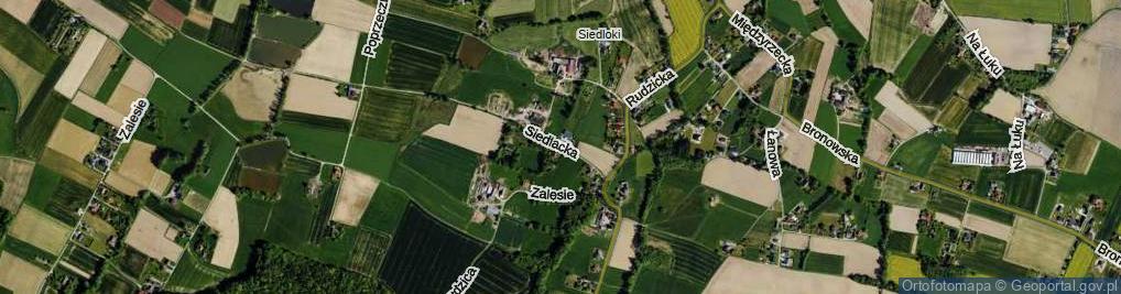 Zdjęcie satelitarne Siedlacka ul.