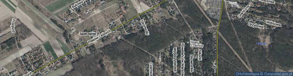 Zdjęcie satelitarne Sikoreczki ul.