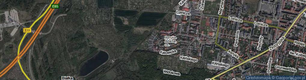 Zdjęcie satelitarne Siemianowicka ul.