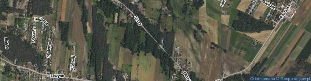Zdjęcie satelitarne Sikory Wawrzyńca ul.