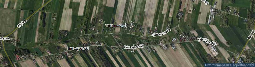 Zdjęcie satelitarne Siekierowizna ul.