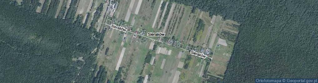 Zdjęcie satelitarne Sieraków ul.