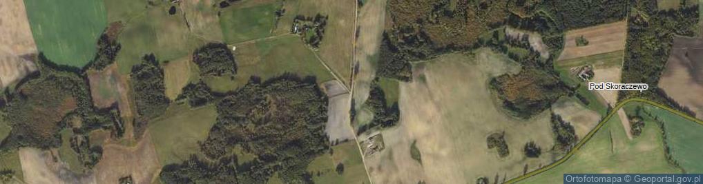 Zdjęcie satelitarne Sitno ul.