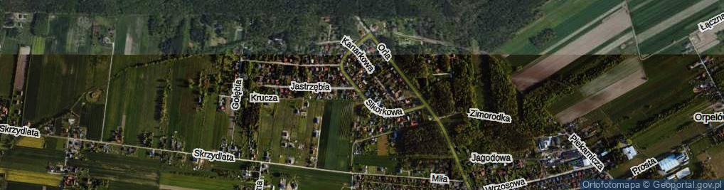 Zdjęcie satelitarne Sikorkowa ul.