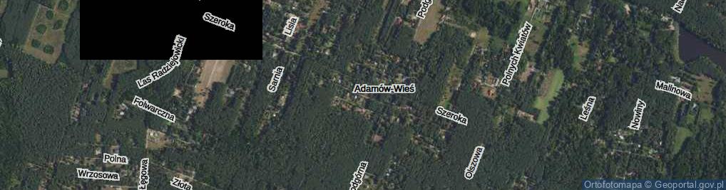 Zdjęcie satelitarne Skowronka ul.