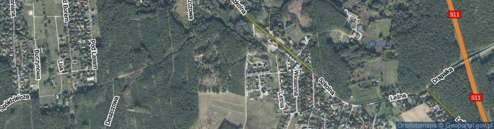 Zdjęcie satelitarne Skryta ul.