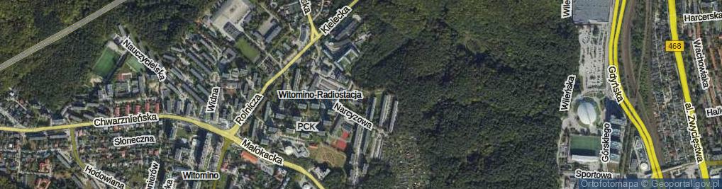 Zdjęcie satelitarne Skwer Witomiński skw.