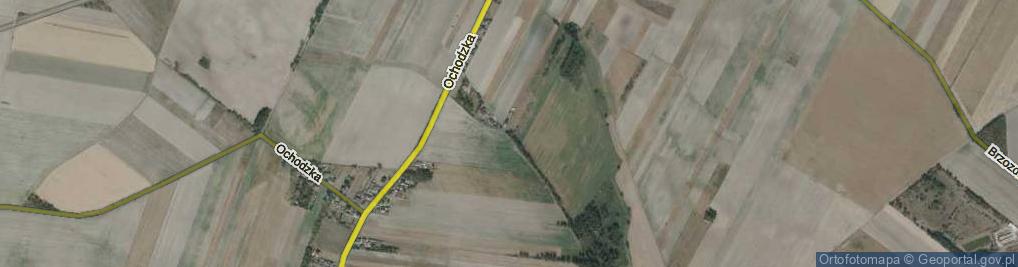 Zdjęcie satelitarne Skowronkowa ul.