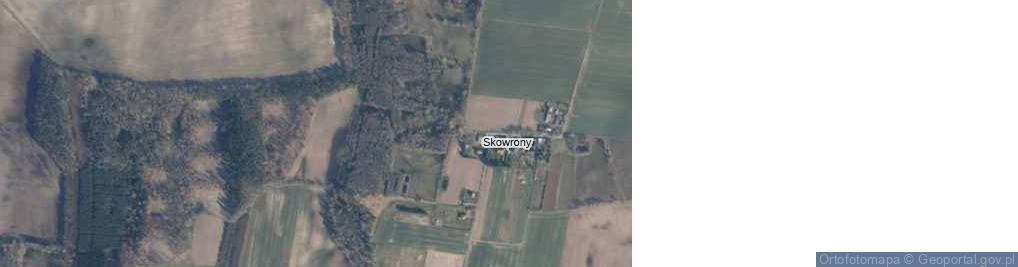 Zdjęcie satelitarne Skowrony ul.