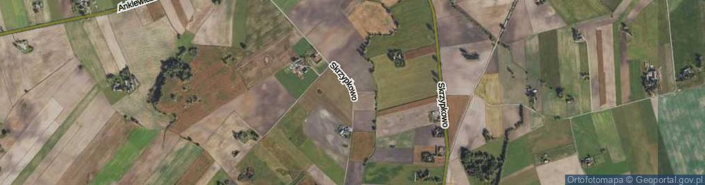 Zdjęcie satelitarne Skrzypkowo ul.
