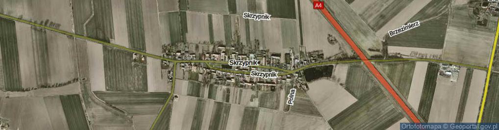 Zdjęcie satelitarne Skrzypnik ul.