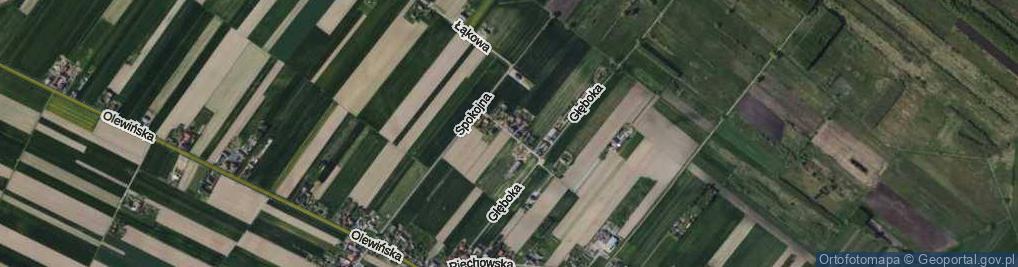 Zdjęcie satelitarne Skotnicka ul.