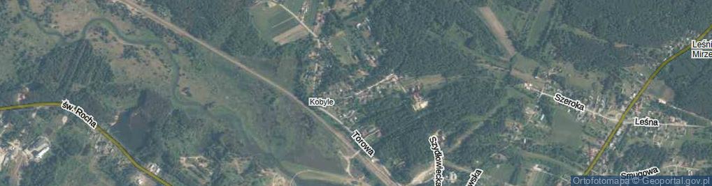 Zdjęcie satelitarne Skalista ul.