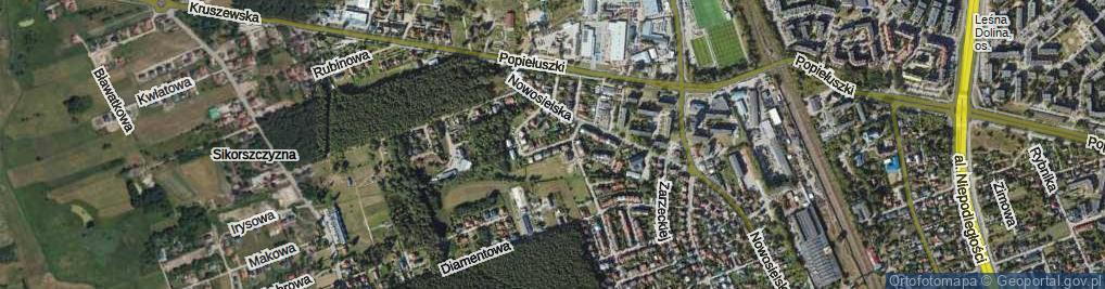 Zdjęcie satelitarne Słowacka ul.