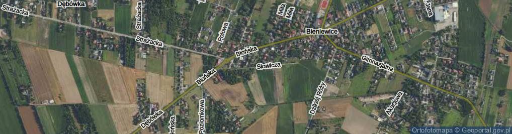 Zdjęcie satelitarne Słowicza ul.