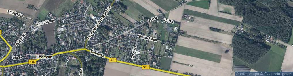 Zdjęcie satelitarne Słowackiego Juliusza ul.