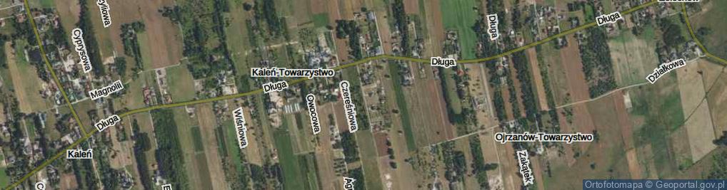 Zdjęcie satelitarne Śliwkowa ul.