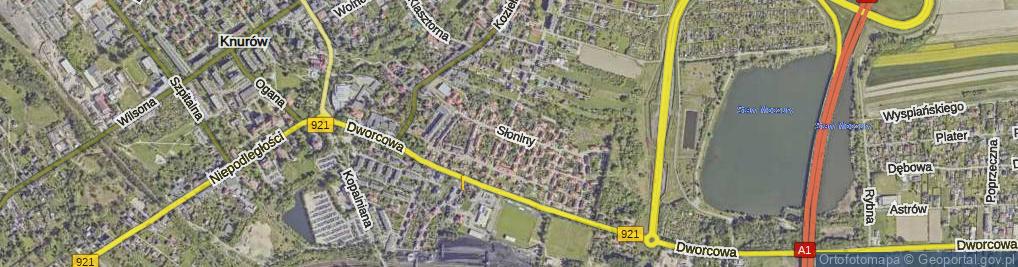 Zdjęcie satelitarne Słoniny Antoniego ul.