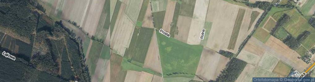 Zdjęcie satelitarne Śliwkowa ul.