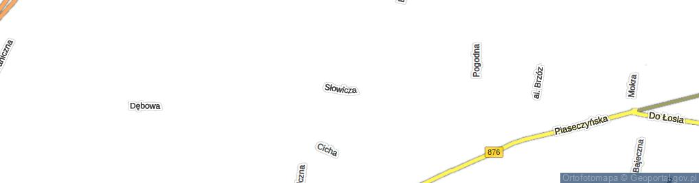 Zdjęcie satelitarne Słowicza ul.