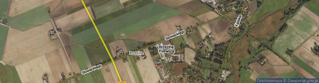 Zdjęcie satelitarne Słowackiego Juliusza ul.
