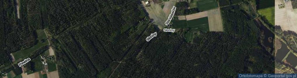 Zdjęcie satelitarne Słoniny ul.