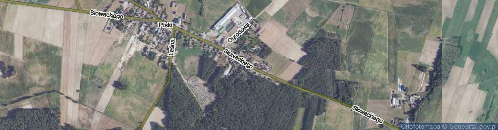 Zdjęcie satelitarne Słowackiego Juliusza ul.