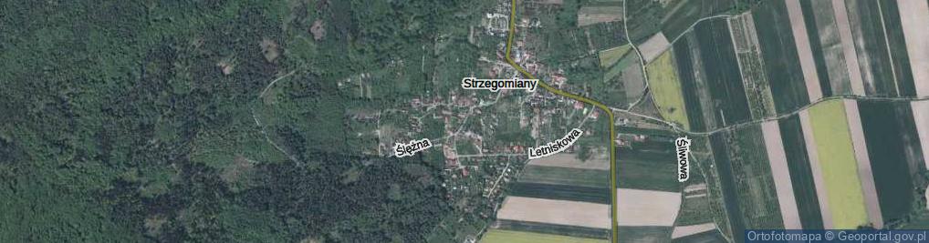 Zdjęcie satelitarne Ślężna ul.