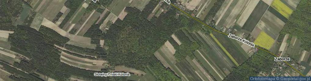 Zdjęcie satelitarne Słotwiny-Pniaki-Kolonia ul.