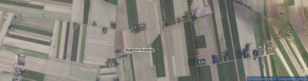 Zdjęcie satelitarne Sługocin-Kolonia ul.
