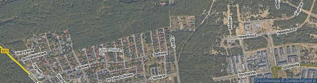 Zdjęcie satelitarne Śliwowa ul.