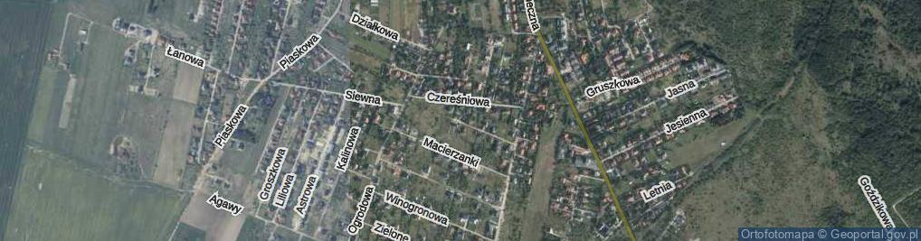 Zdjęcie satelitarne Słonecznikowa ul.