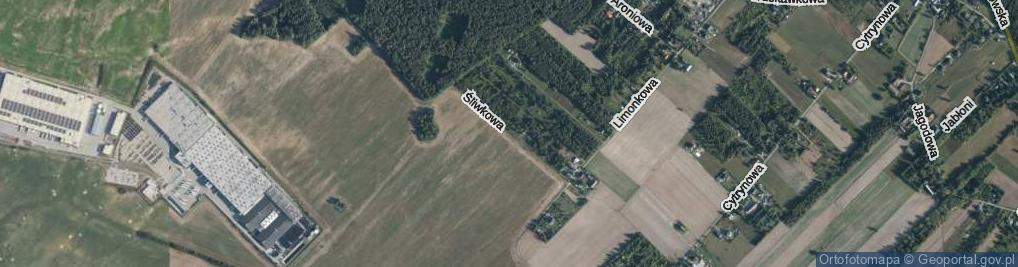 Zdjęcie satelitarne Śliwkowa ul.