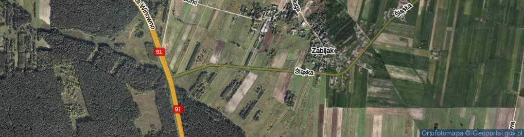 Zdjęcie satelitarne Śląska ul.