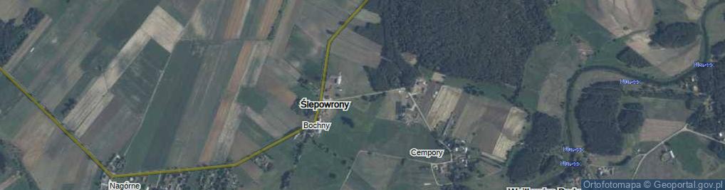 Zdjęcie satelitarne Ślepowrony ul.