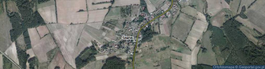 Zdjęcie satelitarne Śliwnik ul.