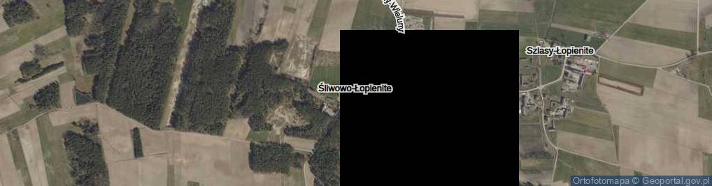 Zdjęcie satelitarne Śliwowo-Łopienite ul.