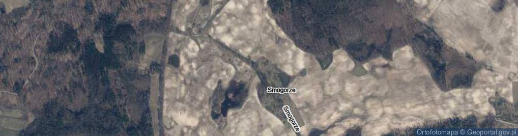 Zdjęcie satelitarne Smogorze ul.