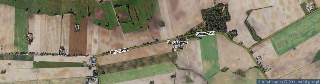 Zdjęcie satelitarne Smuszewo ul.