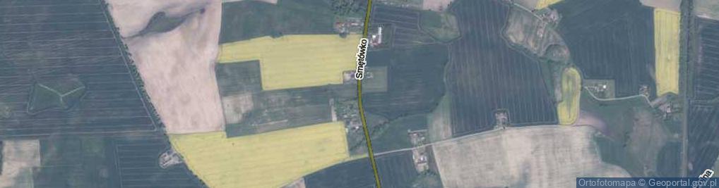 Zdjęcie satelitarne Smętówko ul.
