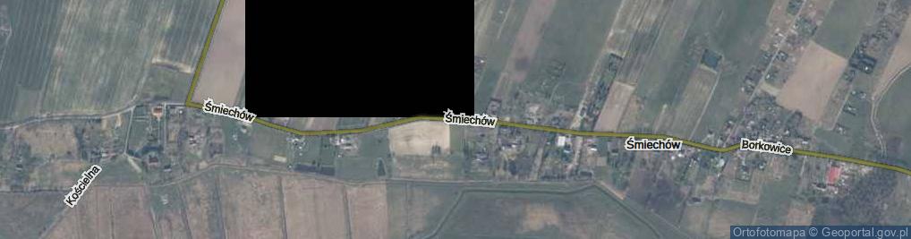Zdjęcie satelitarne Śmiechów ul.
