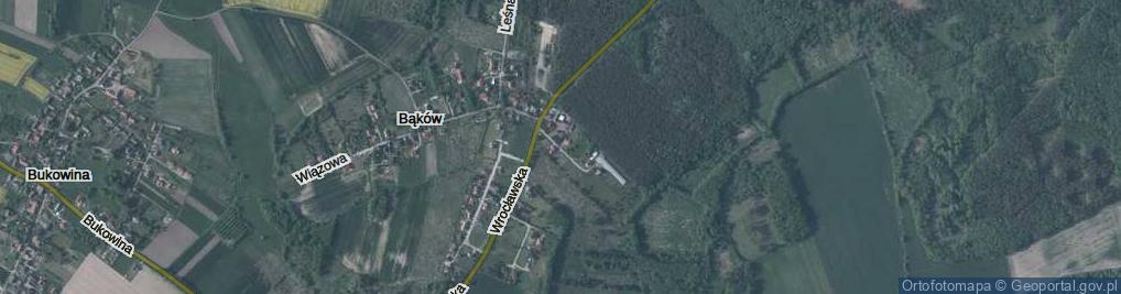 Zdjęcie satelitarne Sosnowa ul.